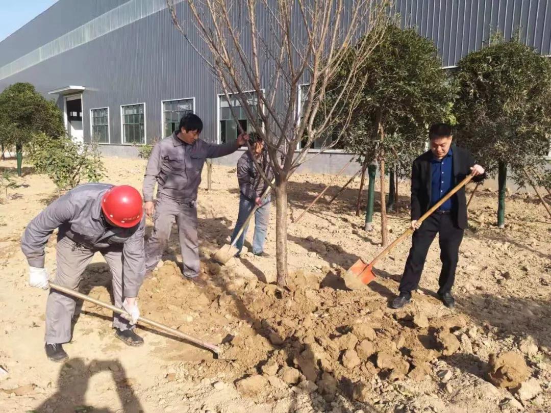 四通員工義務(wù)植樹、共建和諧綠色家園